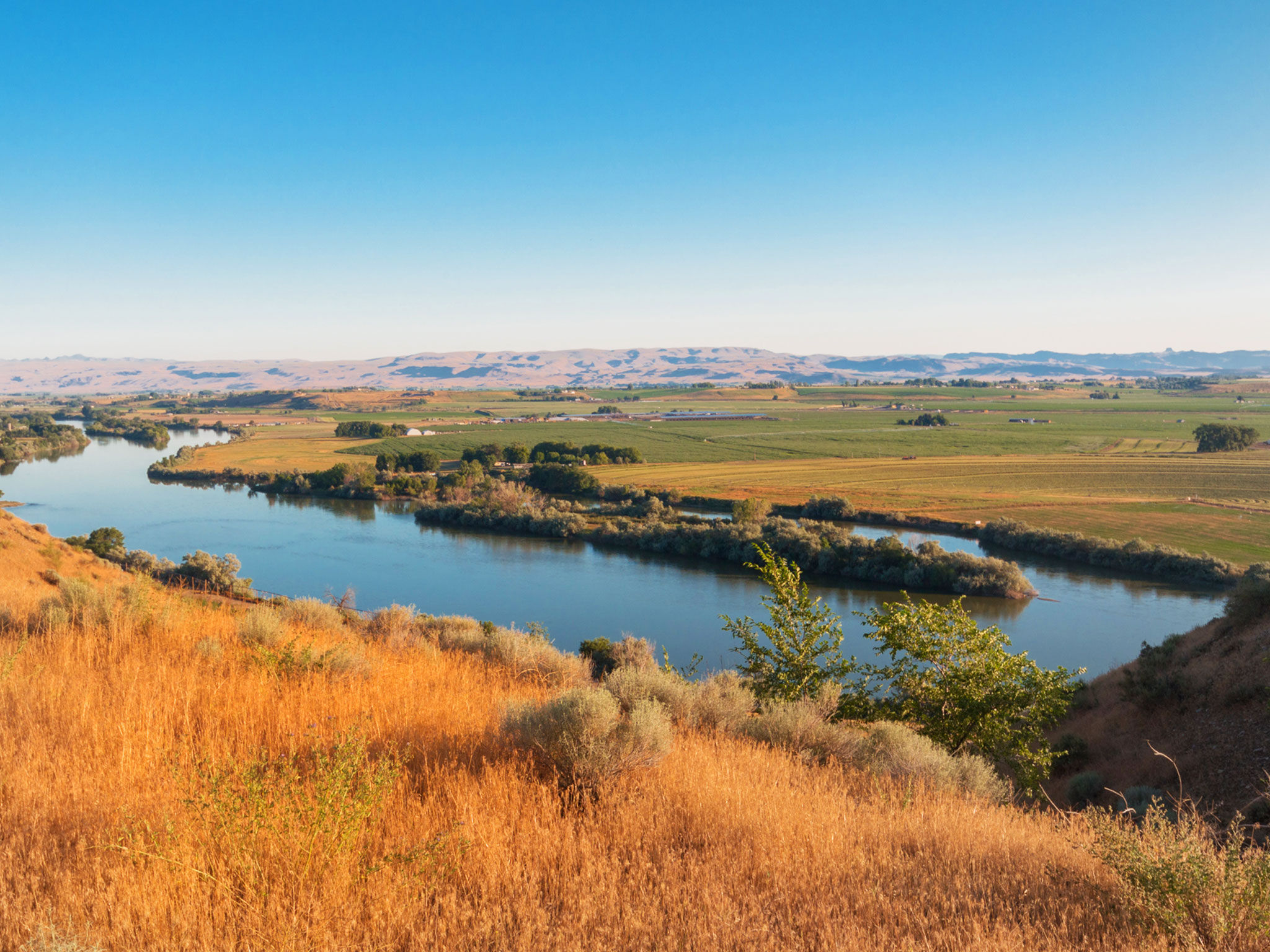 Snake River Valley Wine Region